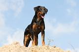 BEAUCERON 510